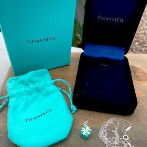 Tiffany & Co Blue Enamel Necklace